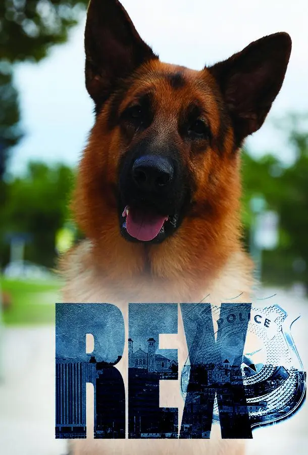 Хадсон и Рекс (1-6,7,8 сезон 1-5,6,7 серия) смотреть онлайн