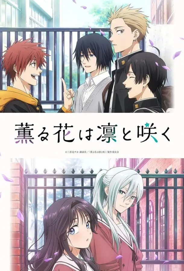 Благоухающий цветок расцветает с достоинством (1 сезон 1-11,12,13 серия) смотреть онлайн