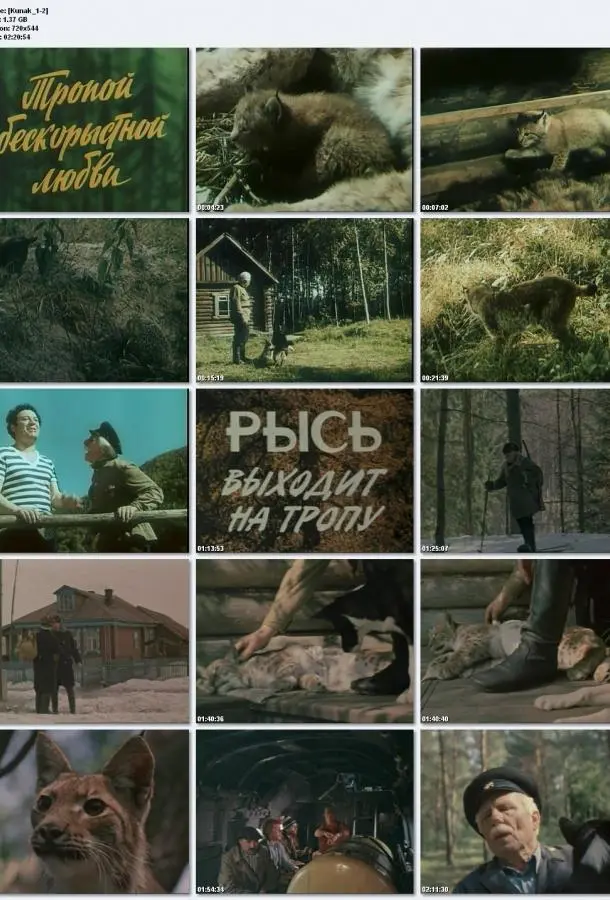 Тропой бескорыстной любви (1971) смотреть онлайн