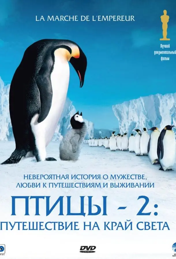 Птицы 2: Путешествие на край света (2004) смотреть онлайн